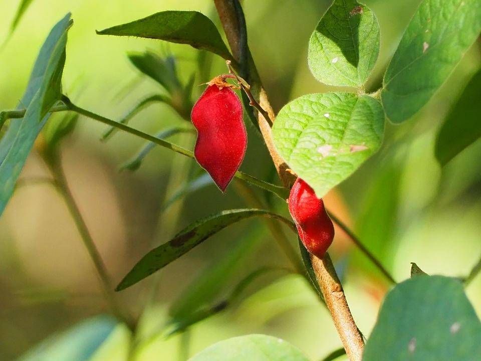 PA300512 - コピー.jpg