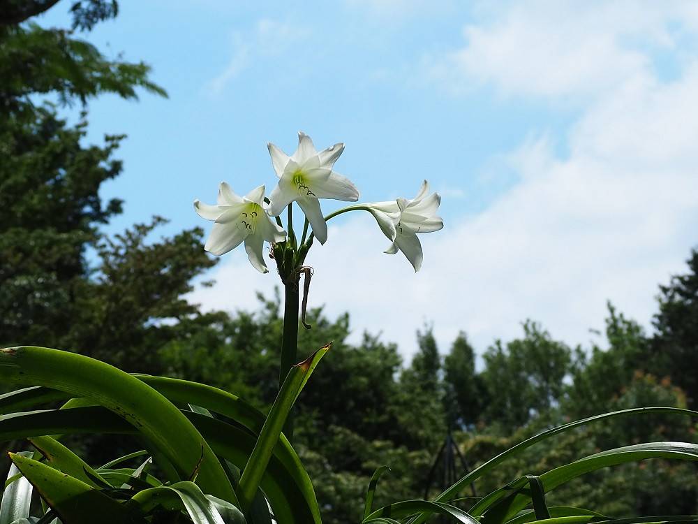 P6110504 - コピー.jpg