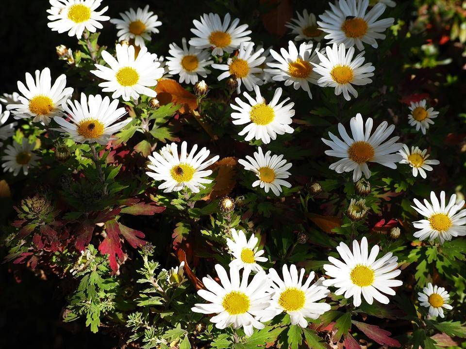 PB150210 - コピー.jpg