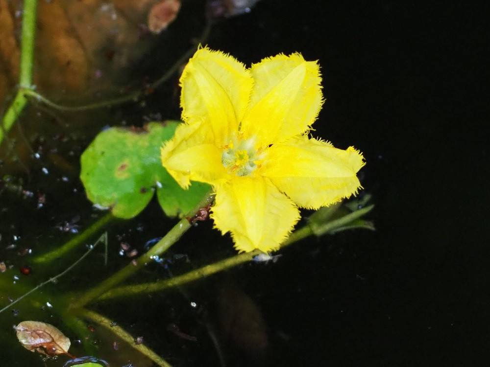 P9240622 - コピー.jpg