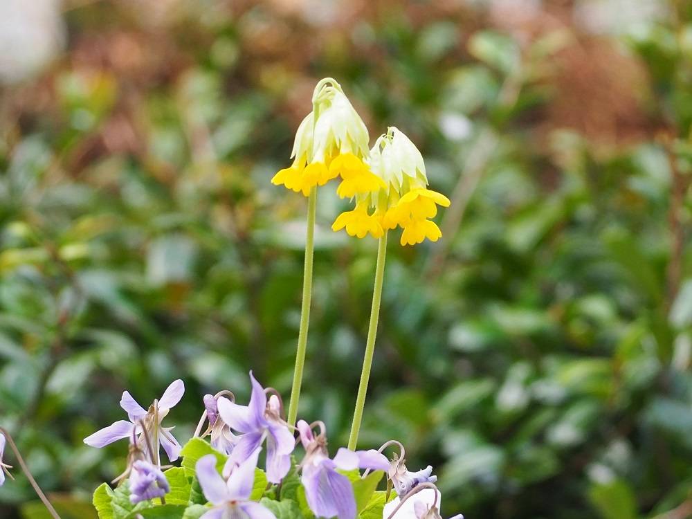 P4020516 - コピー.jpg