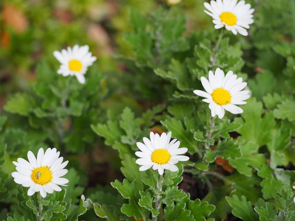 PB020245 - コピー.jpg