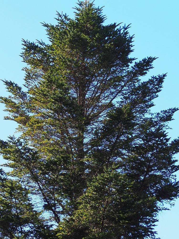 PC240721 - コピー.jpg