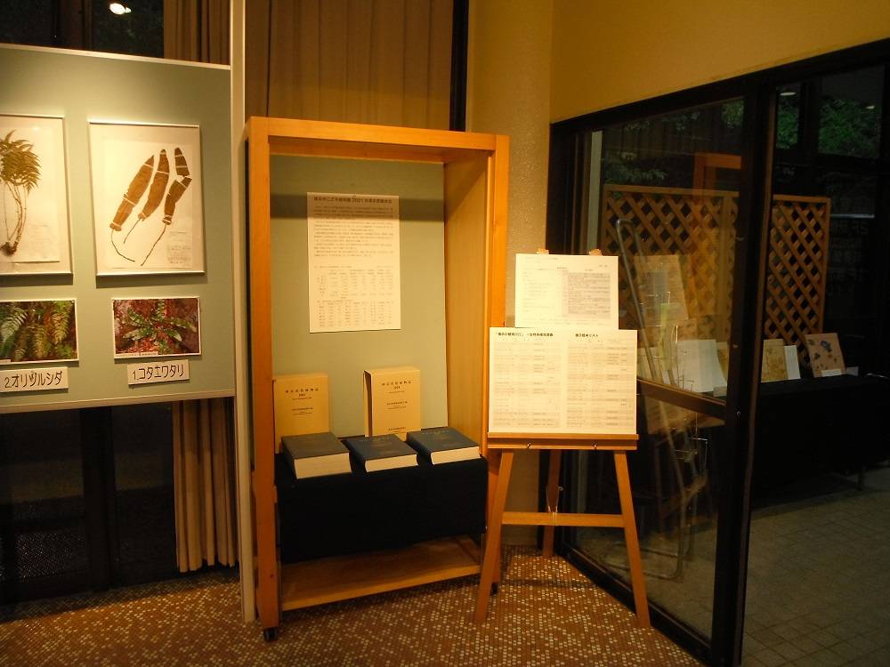 DSCF1242 - コピー.jpg