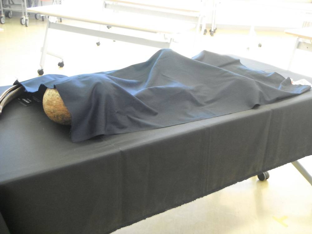 DSCF1356 - コピー.jpg