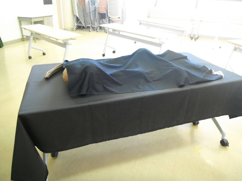 DSCF1355 - コピー.jpg