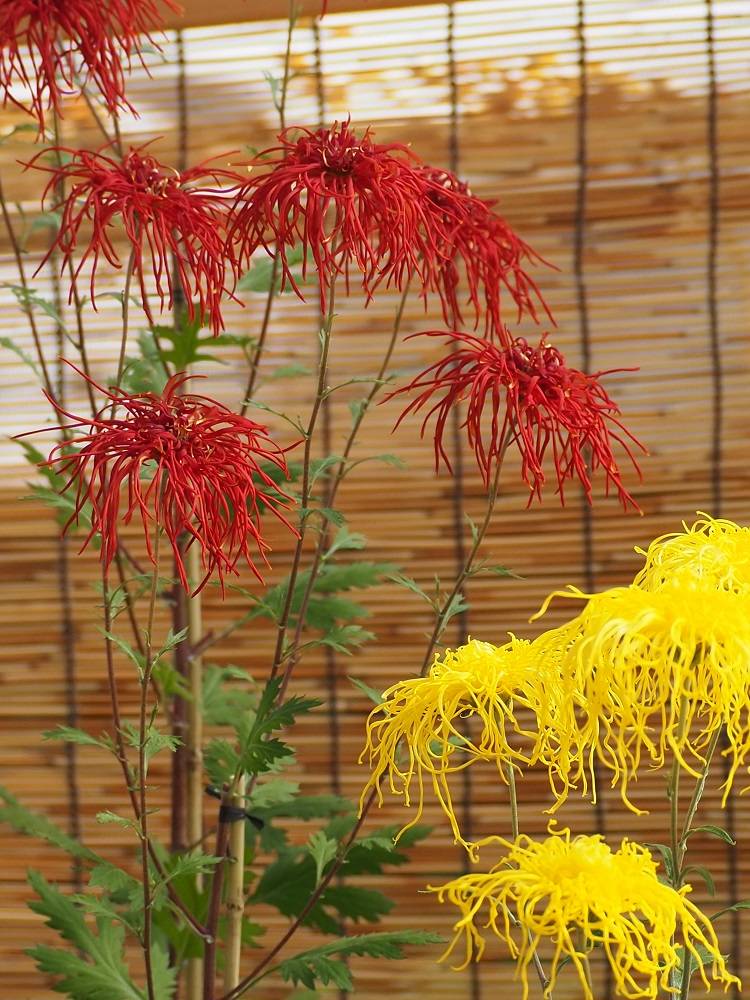 PB180688 - コピー.jpg