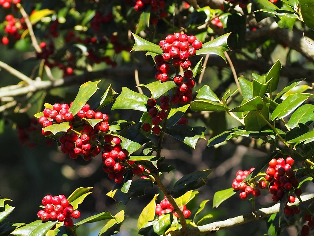 PC240726 - コピー.jpg