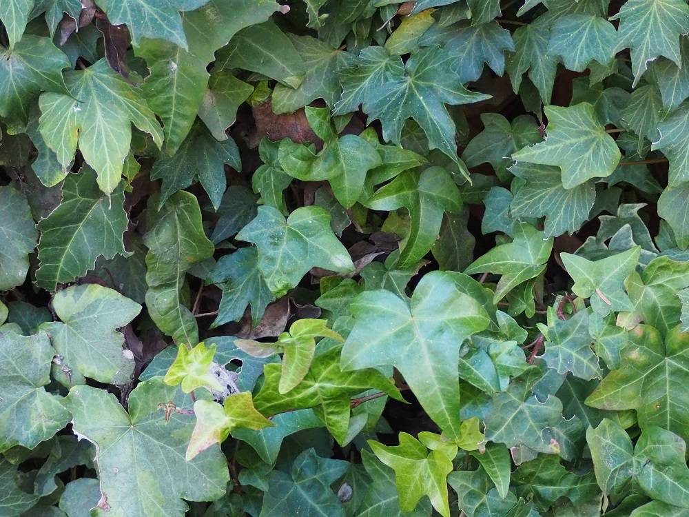 PC240733 - コピー.jpg