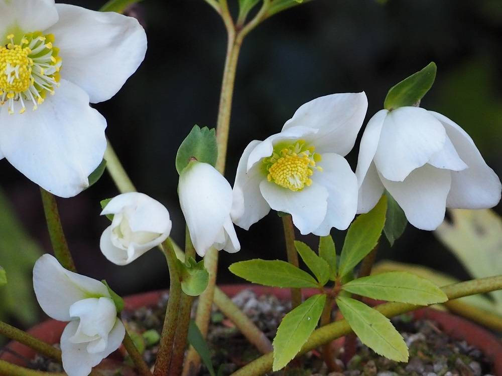 PC240701 - コピー.jpg