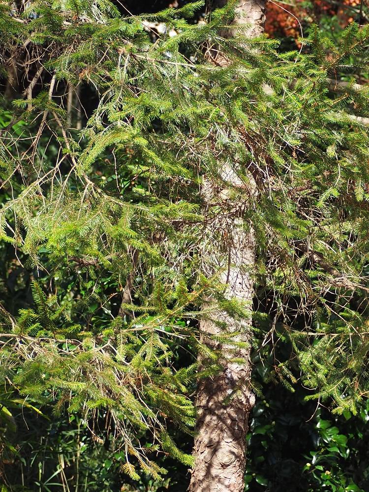 PC240729 - コピー.jpg