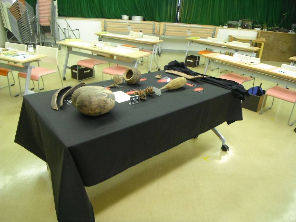 DSCF1381 - コピー.jpg