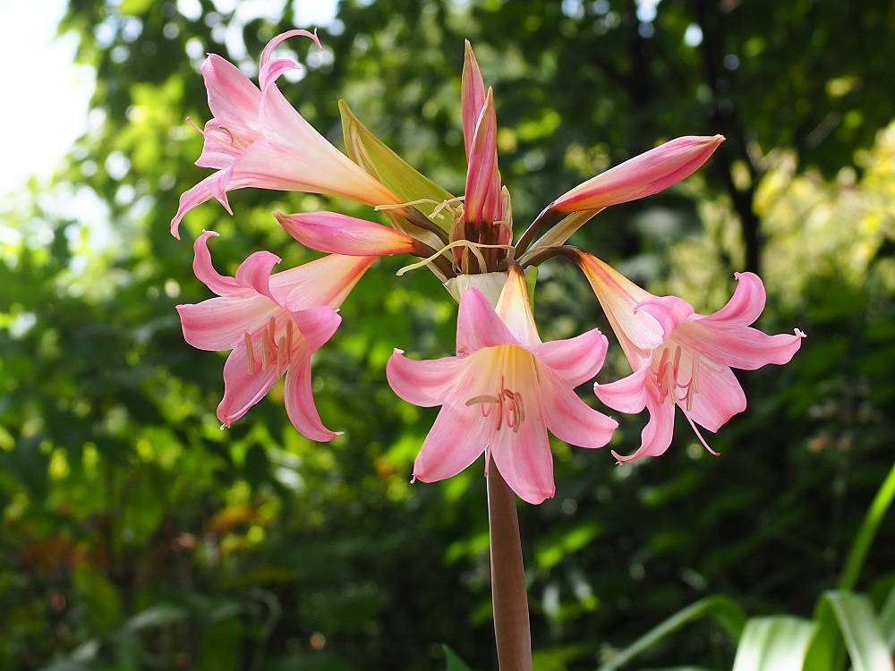 P8310587 - コピー.jpg