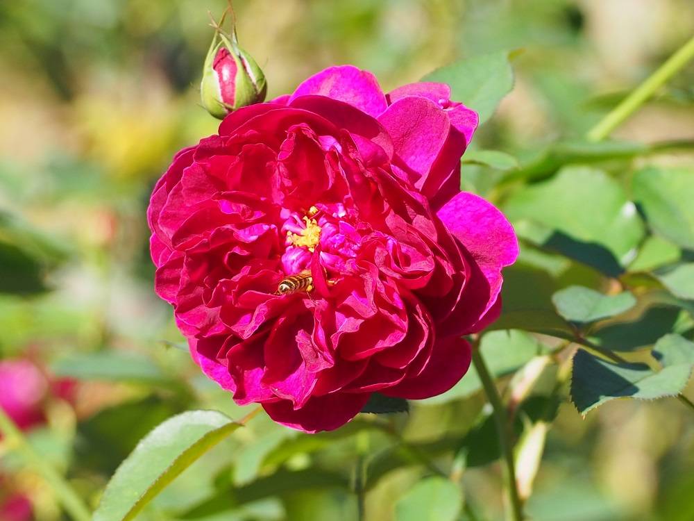 PA200600 - コピー.jpg