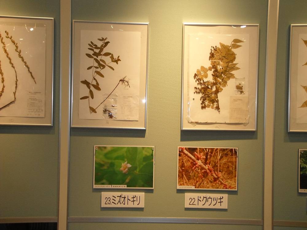 DSCF1260 - コピー.jpg