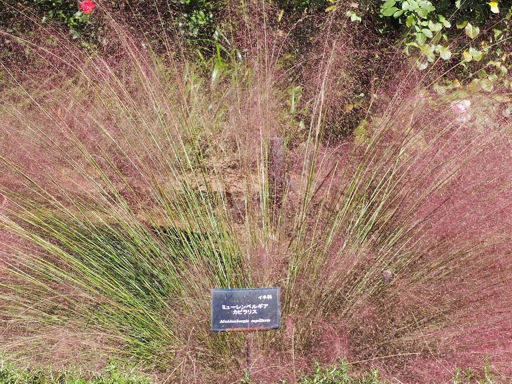 PA200597 - コピー.jpg