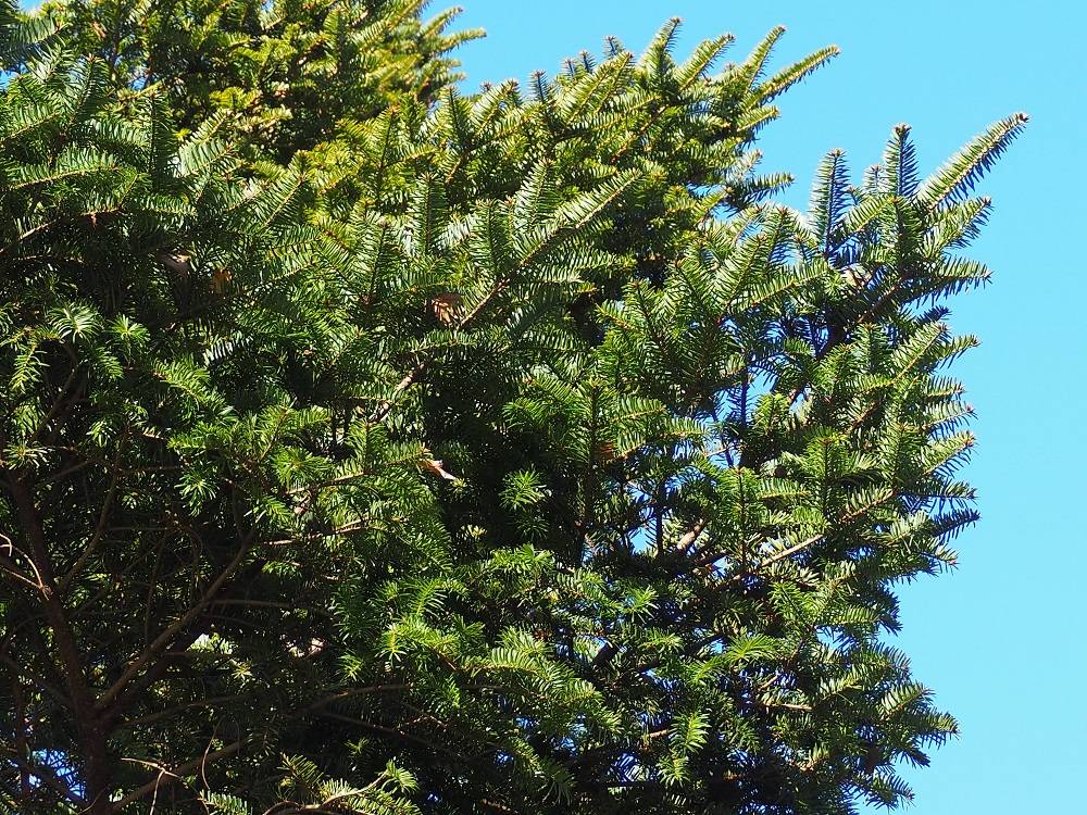 PC240718 - コピー.jpg