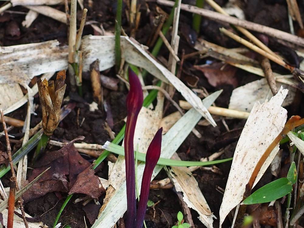 P8310589 - コピー.jpg