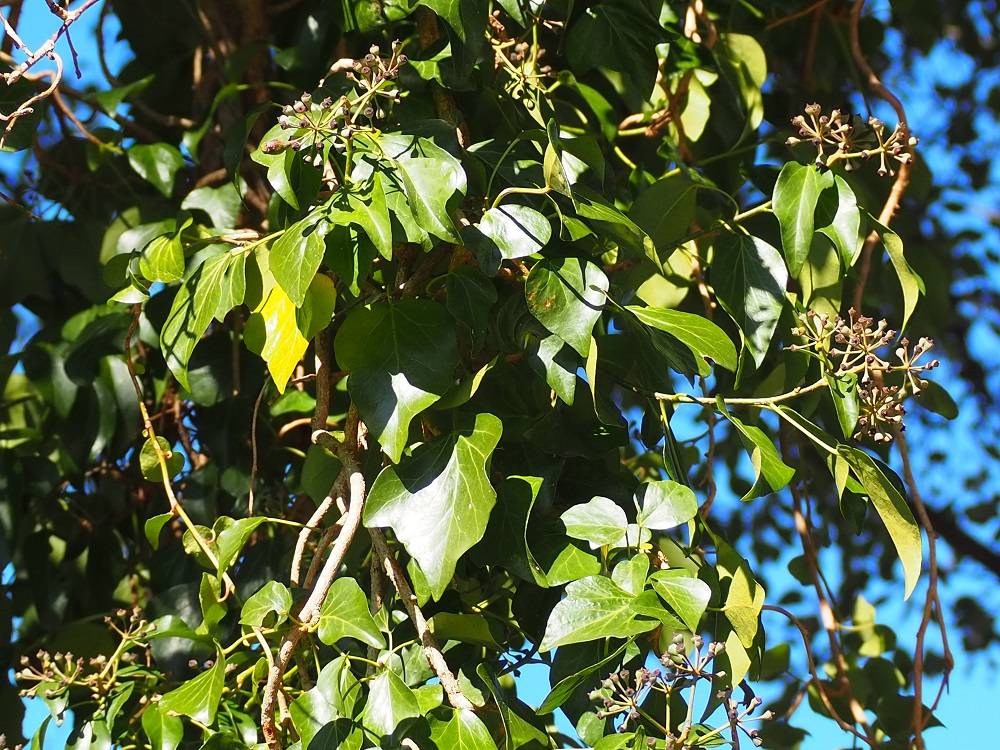 PC240732 - コピー.jpg