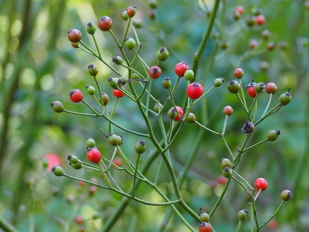 PA200593 - コピー.jpg