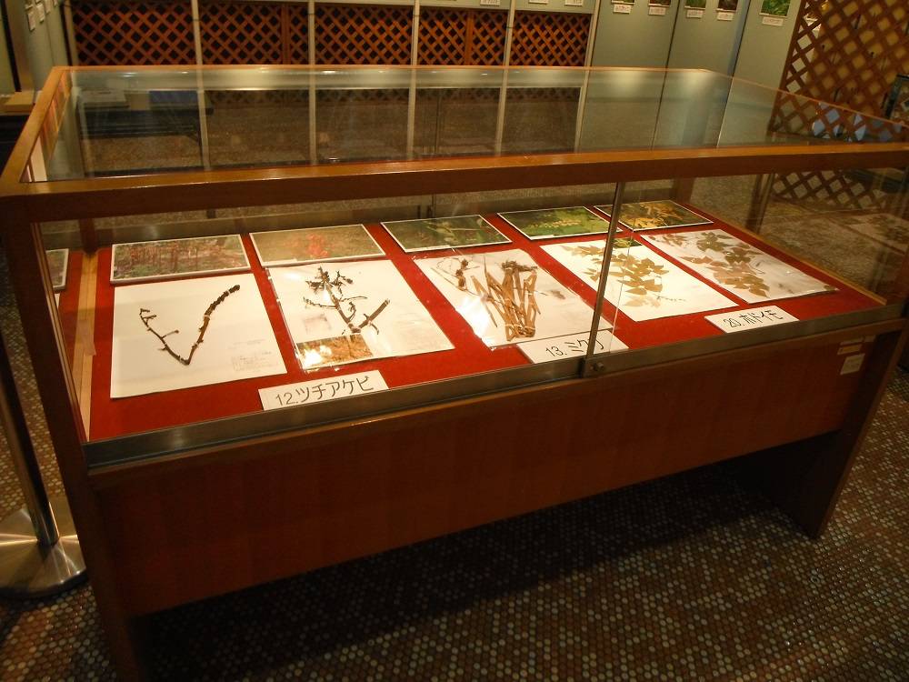 DSCF1236 - コピー.jpg