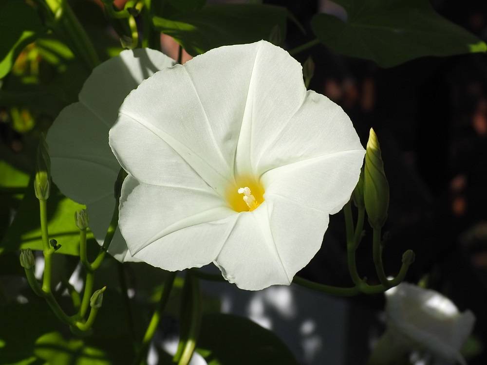 PA200608 - コピー.jpg