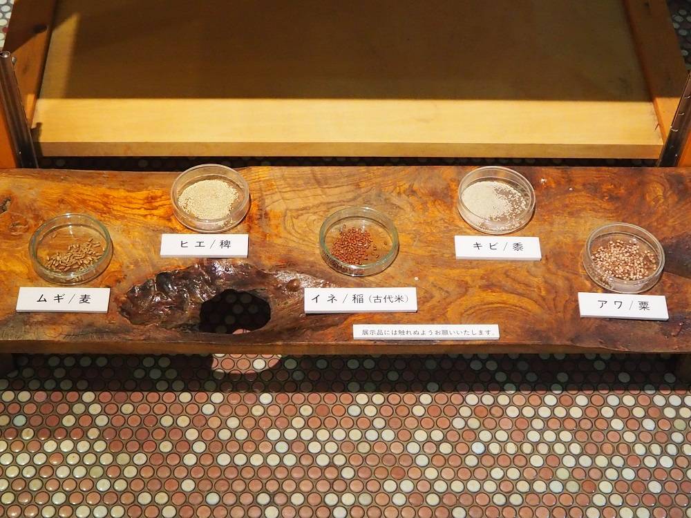 PC231262 - コピー.jpg