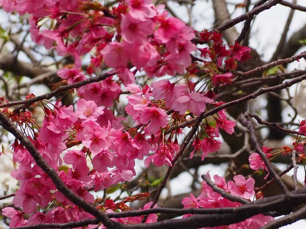 P3240727 - コピー.jpg