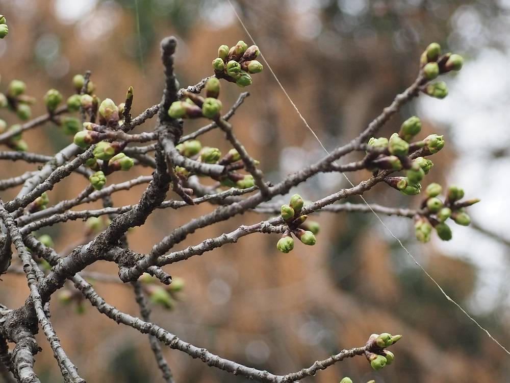 P3120712 - コピー.jpg