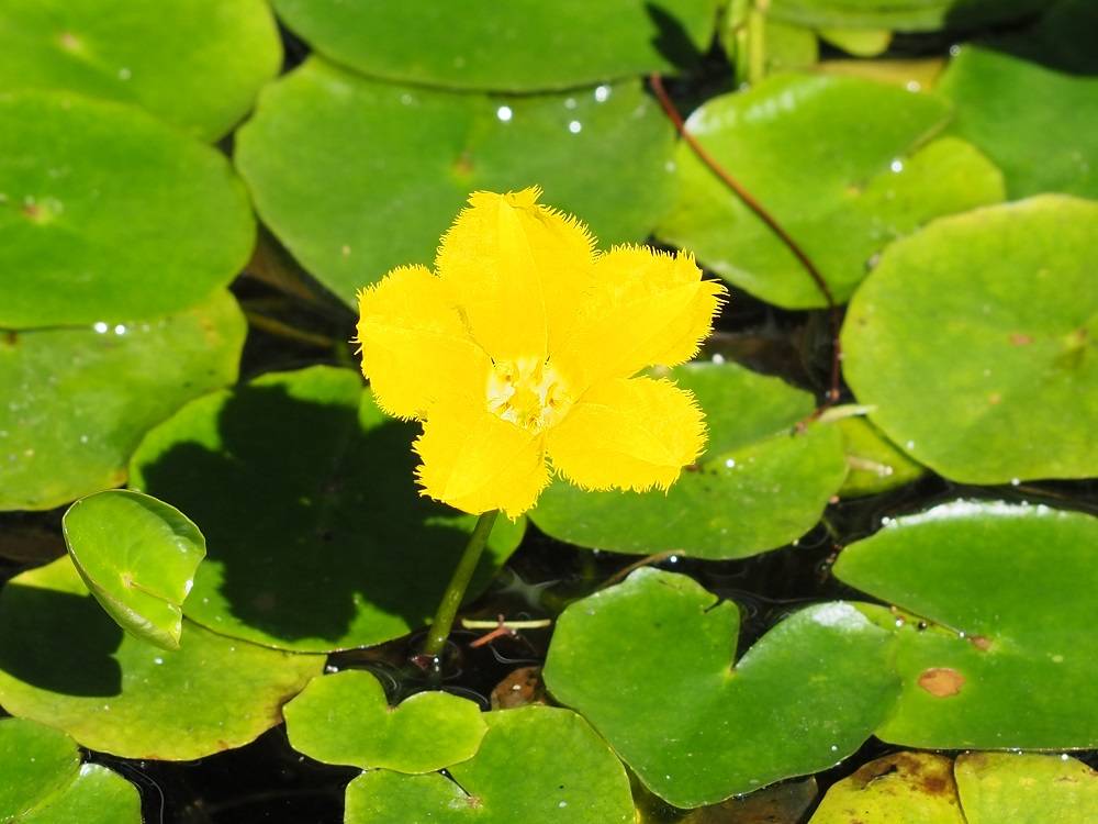 P7120906 - コピー.jpg