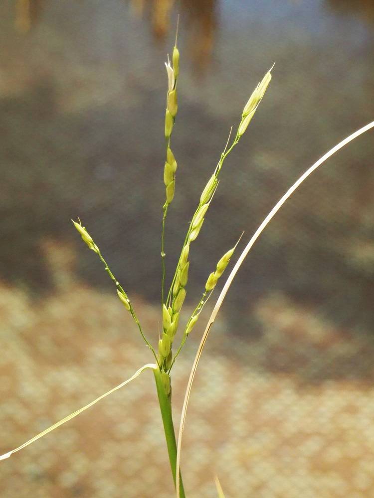 PC231252 - コピー.jpg