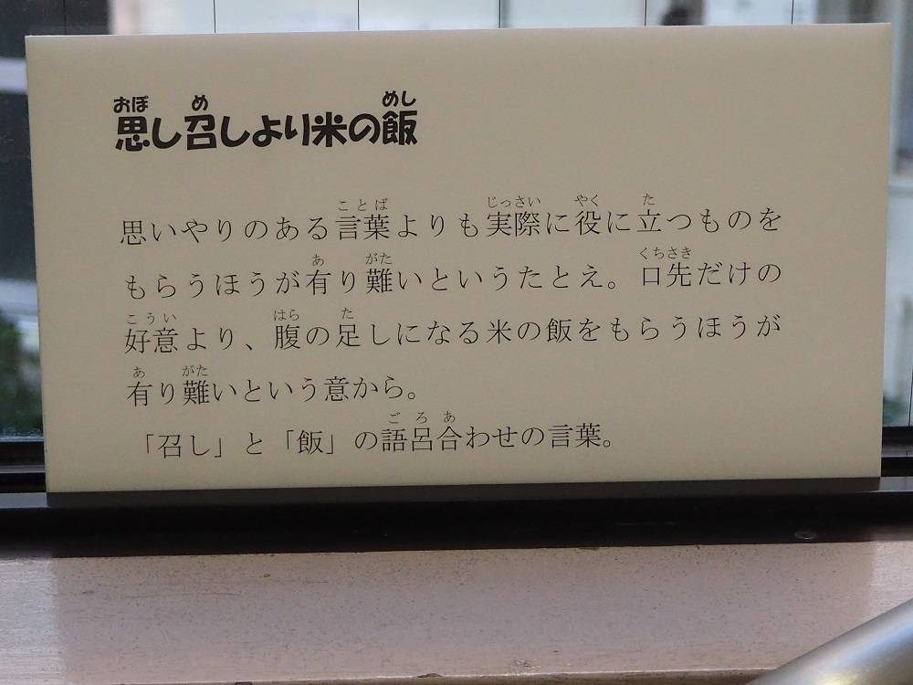 PC231263 - コピー.jpg