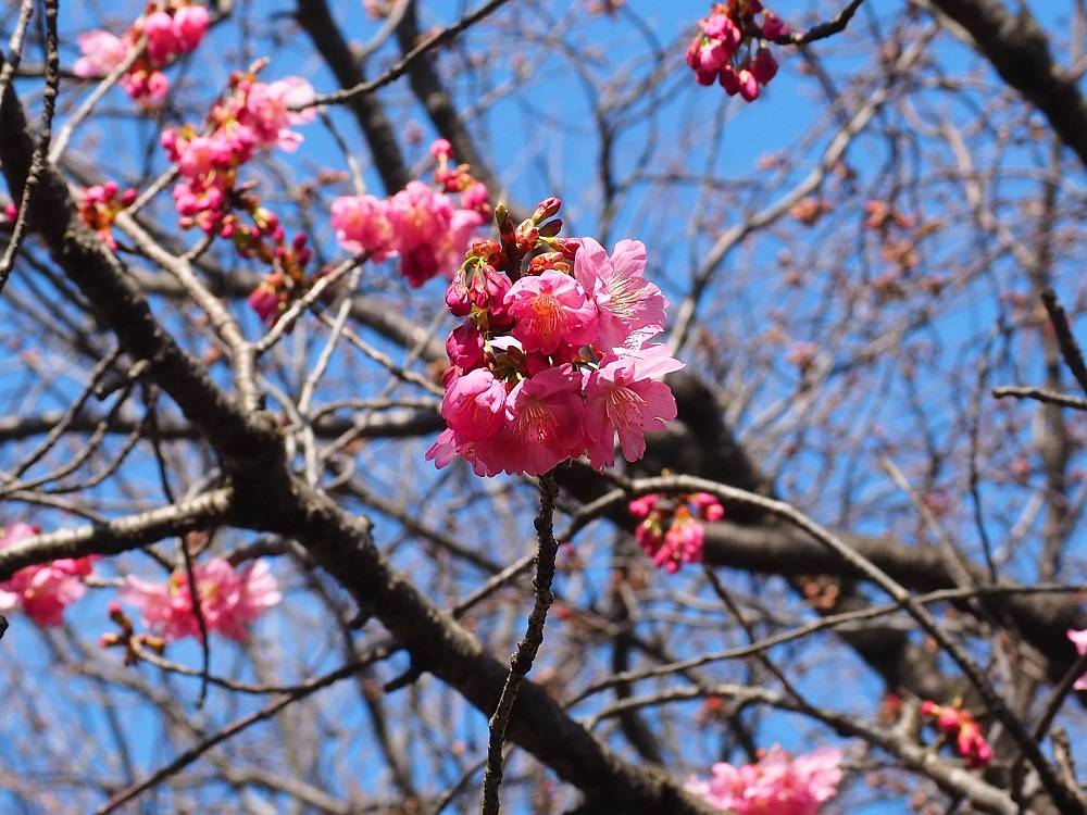 P3150722 - コピー.jpg