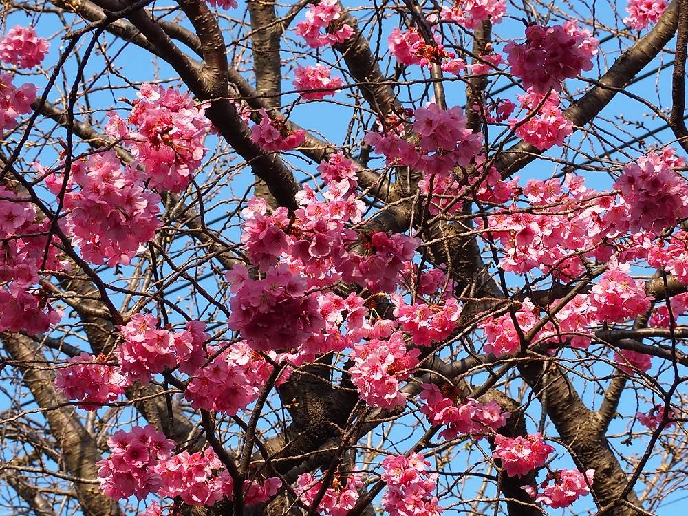 P3220705 - コピー.jpg