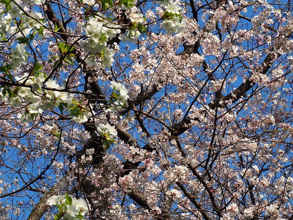 P3220709 - コピー.jpg