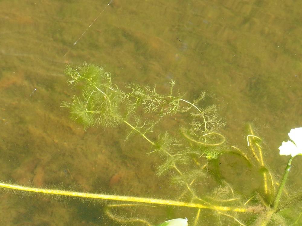 P7120915 - コピー.jpg