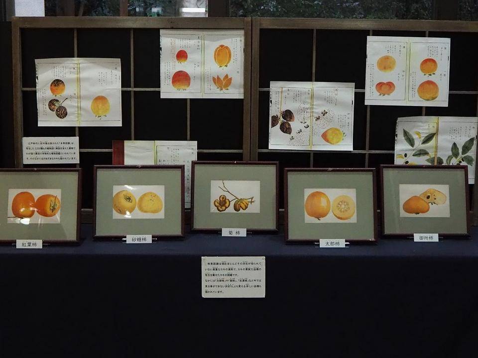 PA170534 - コピー.jpg