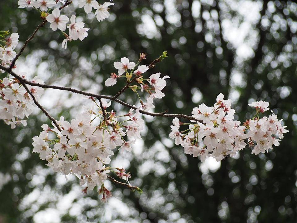 P3280416 - コピー.jpg