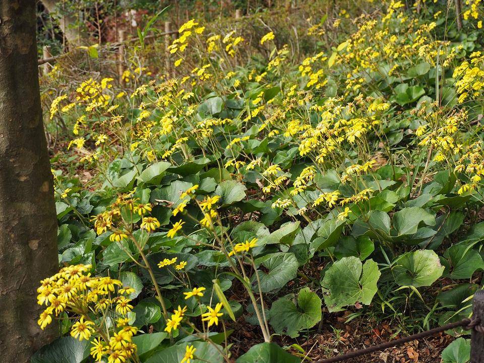 PB270173 - コピー.jpg