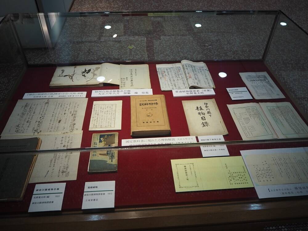 P9030115 - コピー.jpg