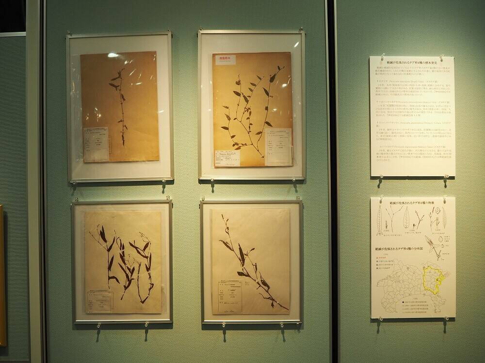 P9030122 - コピー.jpg