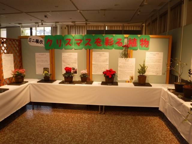 クリスマス展示02.jpg