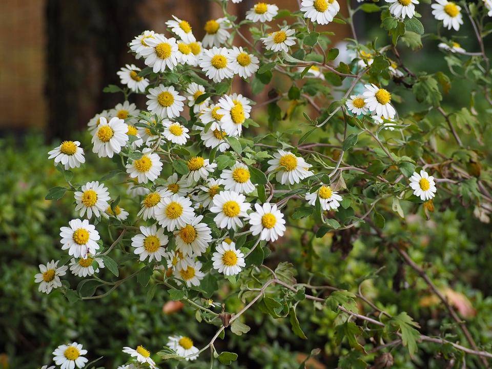 PB020241 - コピー.jpg