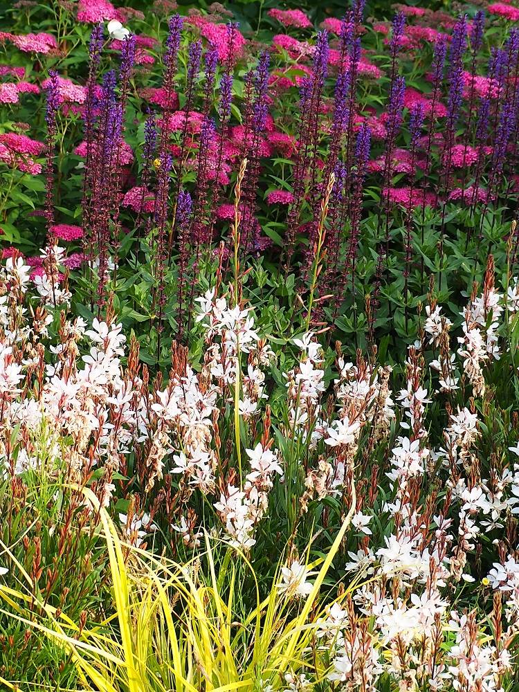 P5300528 - コピー.jpg