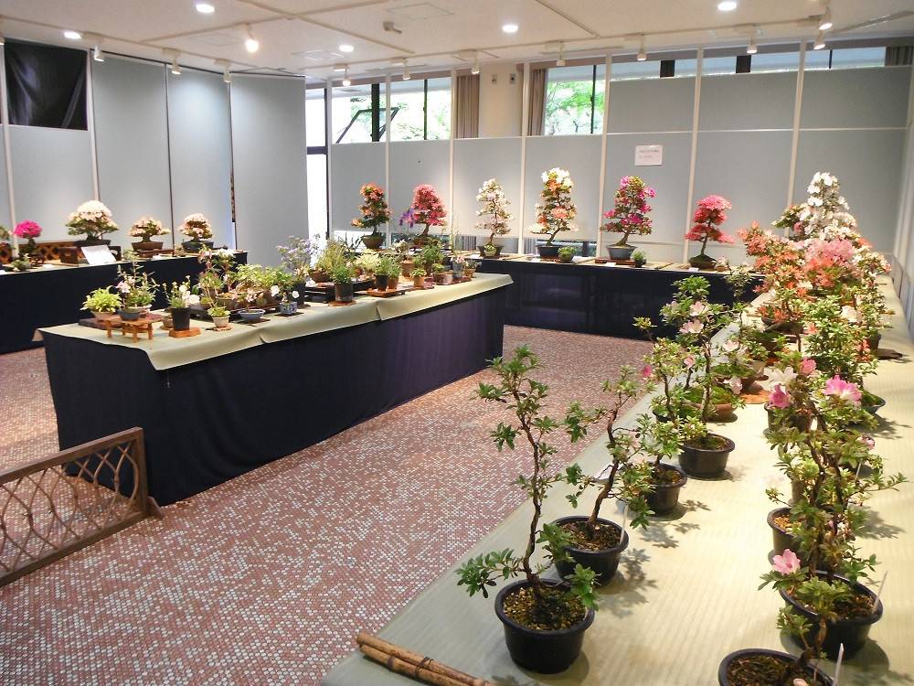 DSCF2510 - コピー.jpg