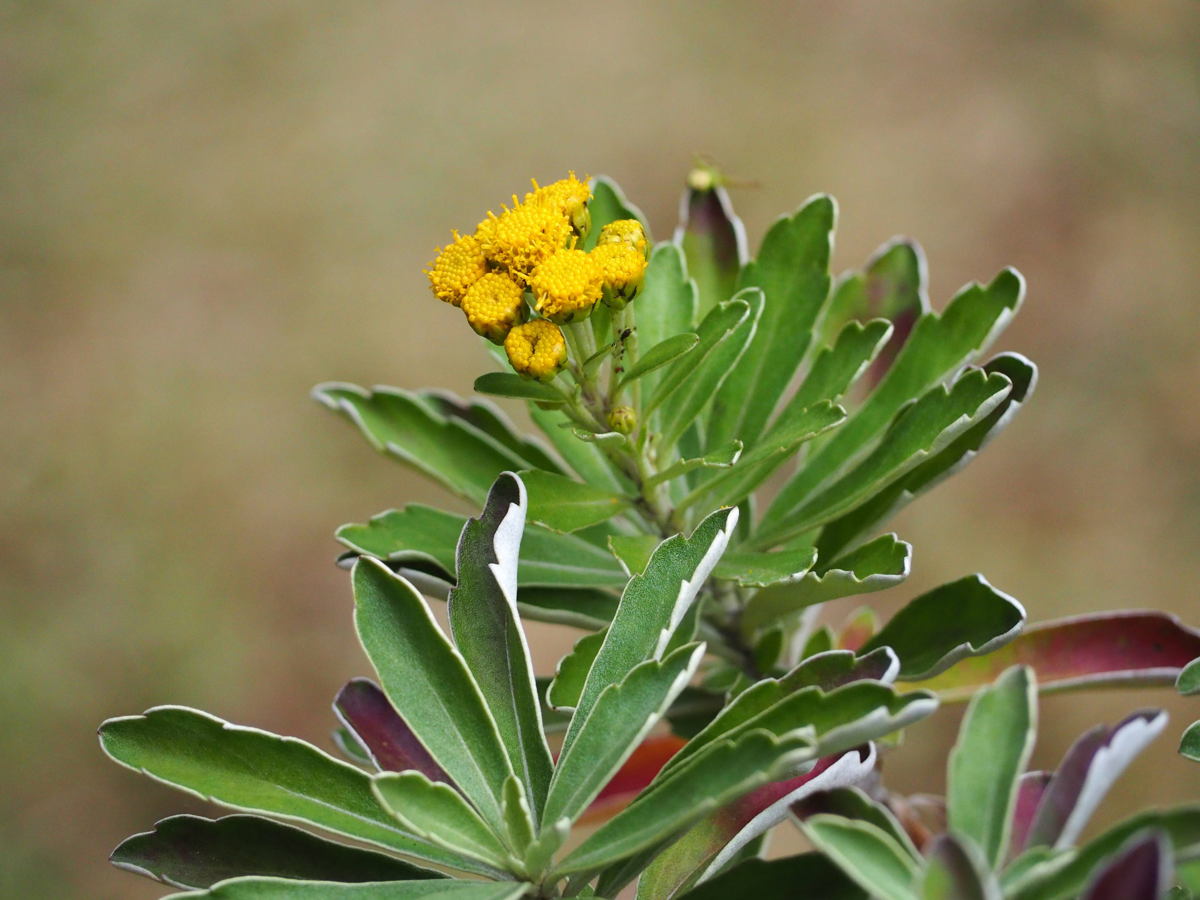 PB270167 - コピー.jpg