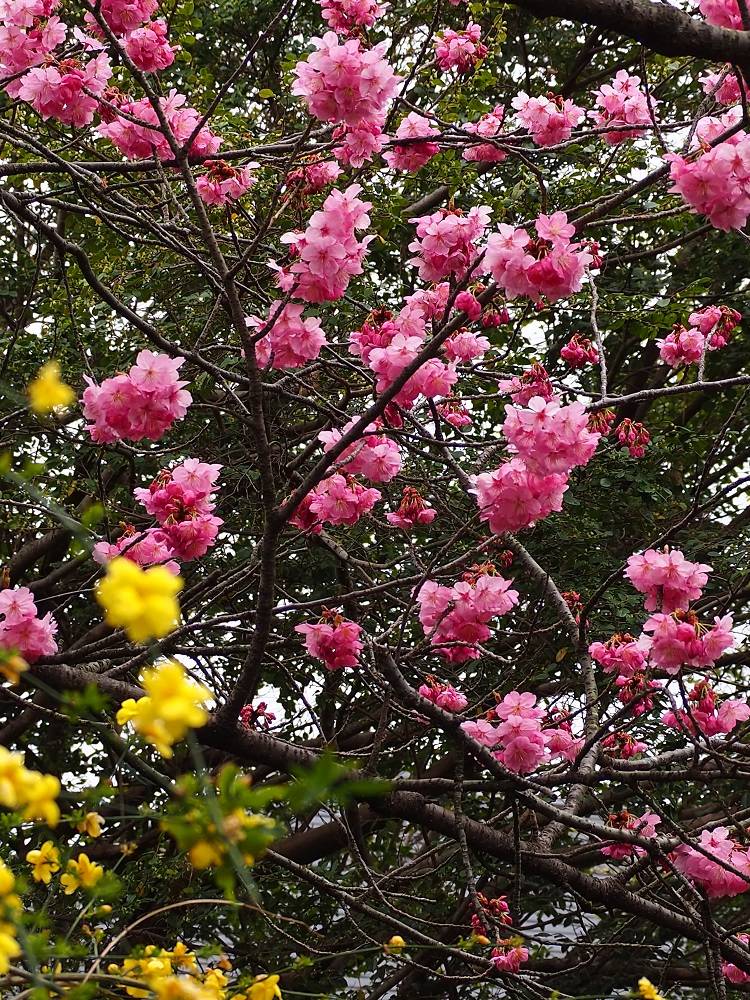 P3260518 - コピー.jpg