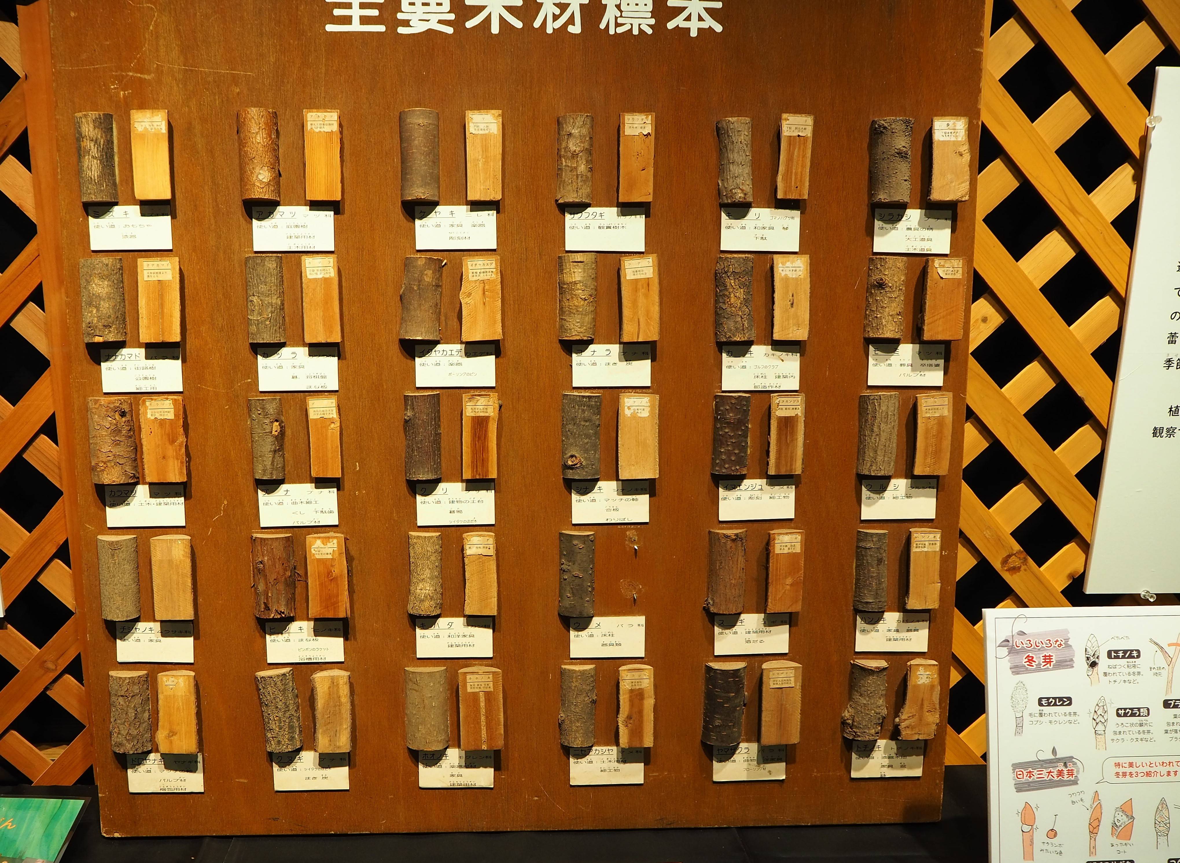 P1240299 - コピー.jpg