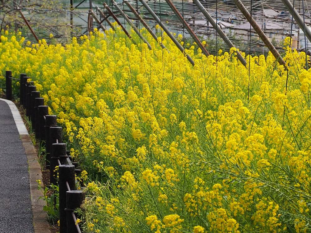 P3280554 - コピー.jpg