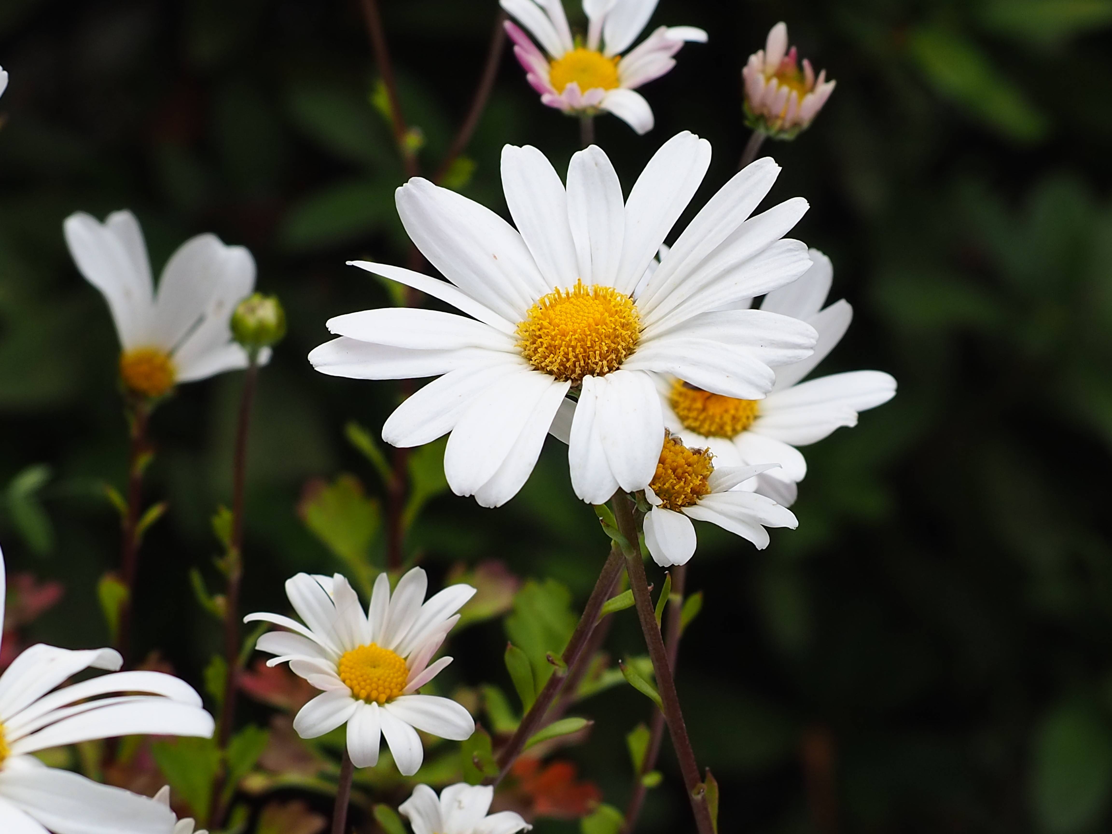 PB010544 - コピー.jpg